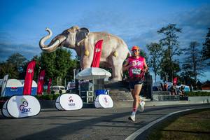 BIB: 
                            <button type="button" onclick="openModal(26541617)" class="btn btn-primary btn-sm float-right btn-popup" data-toggle="modal" data-target=".modal-high-quality">
                        <i class="fas fa-shopping-cart"></i> Add to Cart
                    </button>
                                            <button type="button" onclick="isThisMe(26541617, true)" class="btn btn-success btn-sm float-right btn-popup btn-isme hidden" data-toggle="tooltip" data-placement="bottom" title="นี่คือรูปของคุณใช่ไหม คลิกที่นี่เพื่อเอาเข้าอัลบั้ม">
                        <i class="fas fa-plus"></i> Add to album
                    </button>
                    <button type="button" onclick="isThisMe(26541617, false)" class="btn btn-warning btn-sm float-right btn-popup btn-isnotme hidden">
                        <i class="fas fa-ban"></i> Remove from album
                    </button>